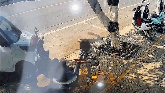 Nhầm chân ga, tài xế lái ô tô lao thẳng gốc cây