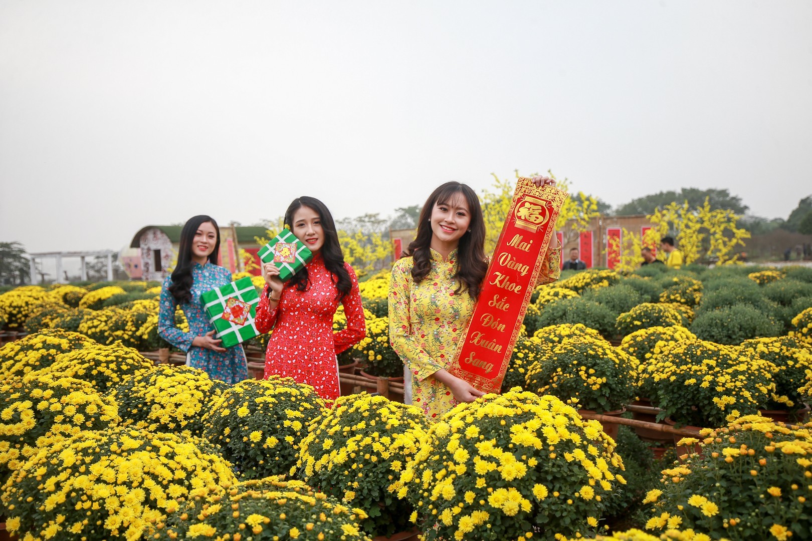 tcct--cuc-mam-xoi-4