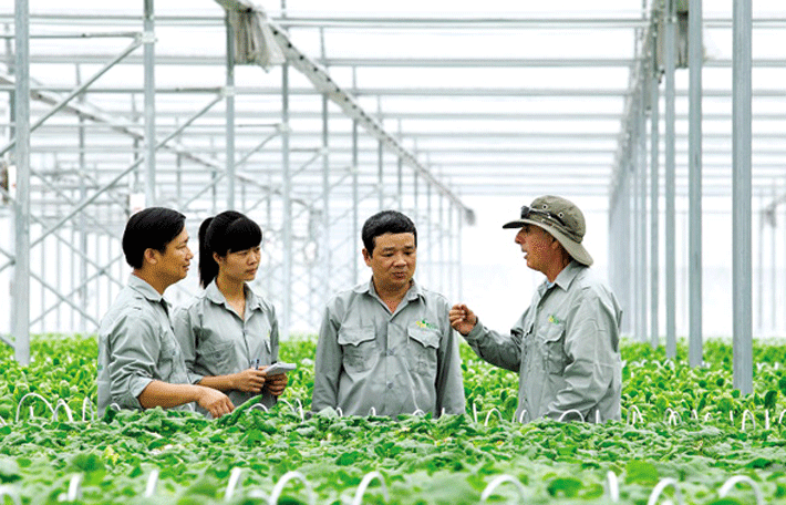 Được cấp chứng nhận hoặc cam kết công bố áp dụng hệ thống quản lý chất lượng cho dự án, phương án Nền tảng hàng đầu cung cấp Cwin com kinh doanh ứng dụng công nghệ cao trong Cwin.com link không chặn theo 