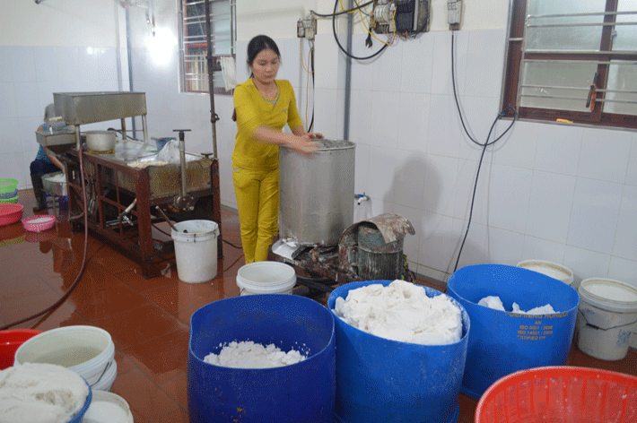 Có đến hơn 10 công đoạn mới cho ra được những bìa đậu vàng ươm, dẻo và có độ đàn hồi như miếng giò. 