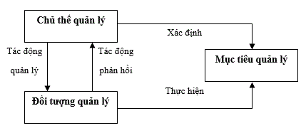 he-thong-quan-ly-va-quan-he-quan-ly