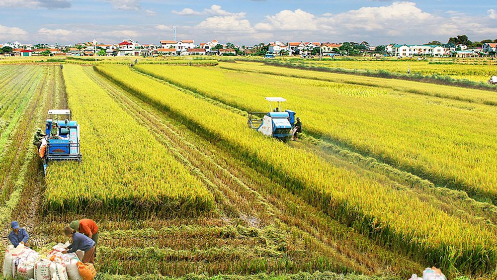 Một số giải pháp nhằm phát triển Cwin.com link không chặn Việt Nam