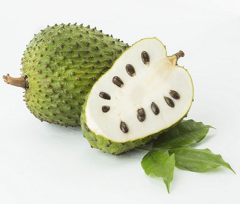 Khảo sát ảnh hưởng nồng độ đồng dung môi (ethanol) đến quá trình trích ly thu nhận polyphenol từ vỏ quả mãng cầu ta (Annona squamosa L.) bằng CO2 siêu tới hạn