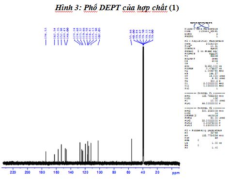 hop-chat-voi-cac-pho-chup-duoc-2