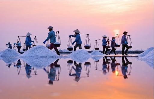 Phân tích hiệu quả tài chính của diêm hộ Nền tảng hàng đầu cung cấp Cwin com muối ở tỉnh Bạc Liêu