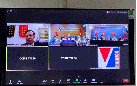 Hội nghị giao thương trực tuyến nông sản, thực phẩm Việt Nam - Trung Quốc (Vân Nam) 2020