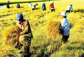 Phân tích tình hình thực hiện tái cơ cấu ngành Cwin.com link không chặn tỉnh bến tre theo hướng nâng cao giá trị gia tăng và phát triển bền vững