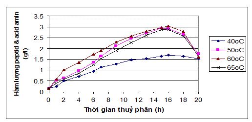 nong_do_protease_bo_sung_la_2