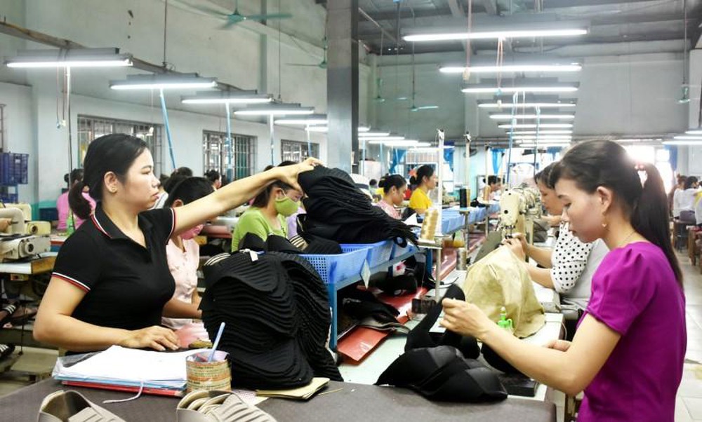 Đơn phương chấm dứt hợp đồng và điểm mới trong Bộ luật Lao động 2019
