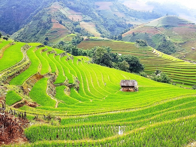 Những nhân tố ảnh hưởng đến phát triển du lịch bền vững