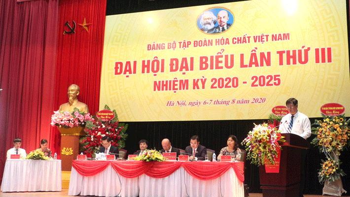 Đại diện Casumina tham luận