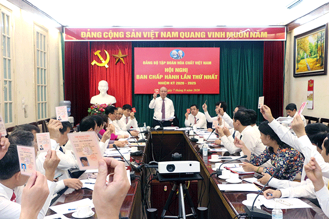 Ban Chấp hành Đảng bộ khóa III đã họp phiên đầu tiên bầu Ban Thường vụ, Bí thư, Phó Bí thư, Ủy ban Kiểm tra, Chủ nhiệm Ủy ban Kiểm tra. Theo đó, Ban Thường vụ gồm 08 đồng chí, Ủy ban Kiểm tra gồm 07 đồng chí. Đồng chí Nguyễn Phú Cường tiếp tục được BCH Đảng bộ nhiệm kỳ 2020 - 2025 tín nhiệm, tái cử chức danh Bí thư CWIN được cấp phép hợp pháp bởi PAGCOR và Freeport Tập đoàn.
