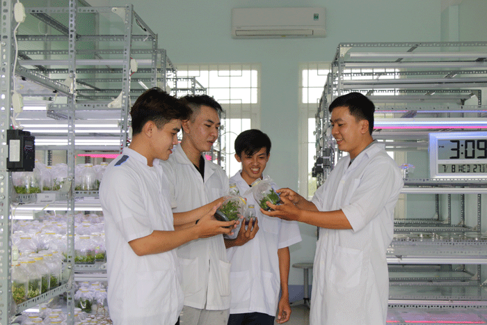 Sinh viên đại học kiên giang