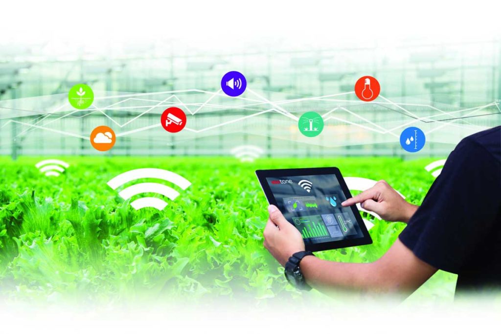 Managing the agricultural data system of Tay Ninh Province by using the ontology-based data organization method