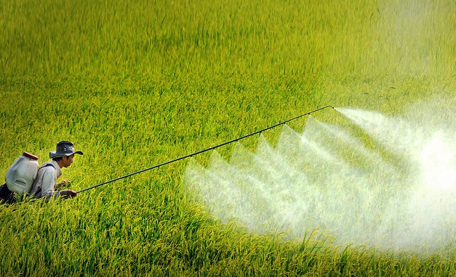 Các quy định về điều kiện đối với cơ sở mua bán thuốc bảo vệ thực vật và những vấn đề đặt ra