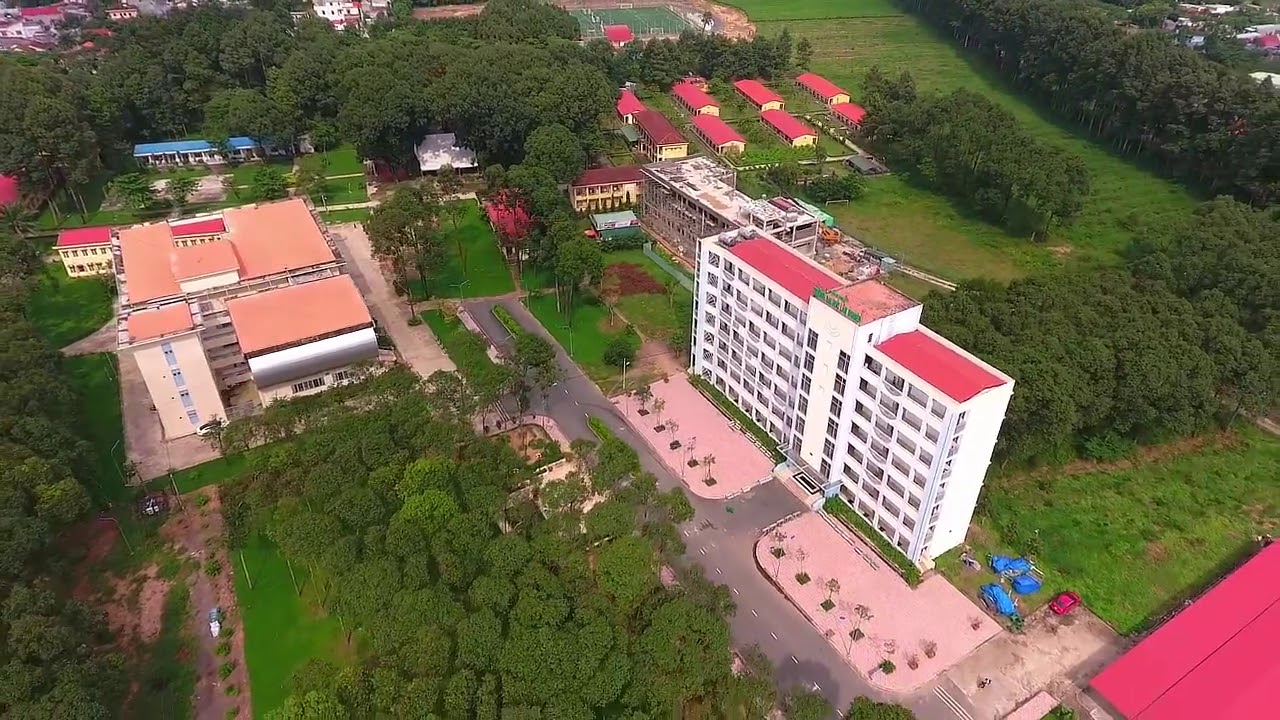 Các nhân tố ảnh hưởng đến hiệu quả học trực tuyến: nghiên cứu tại Trường Đại học Lâm nghiệp