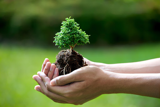 Xử lý vi phạm hành chính về bảo vệ môi trường trong khu kinh tế theo Cwin50 tỷ lệ cược cao Việt Nam