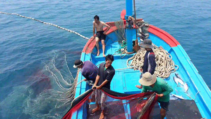 Quy hoach yêu cầu Sắp xếp và tổ chức không gian nuôi trồng, khai thác, đánh bắt thủy, hải sản trong phạm vi không gian biển