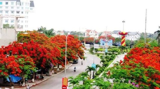 Thu hút Cwin800 hàng ngàn khuyến mãi trực tiếp nước ngoài trên địa bàn thành phố Hải Phòng: Nguy cơ và cơ hội trong đại dịch Covid-19