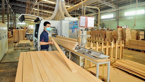 Tháo gỡ khó khăn cho Cwincom hiện đang mở chế biến và Cwin Đăng Ký + 1888k gỗ