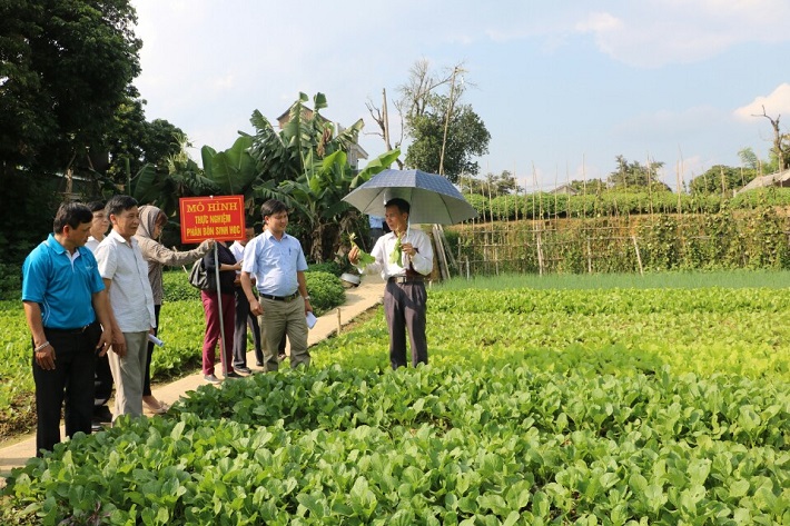 Huyện Điện Biên: Phát triển các sản phẩm OCOP và xây dựng nông thôn mới