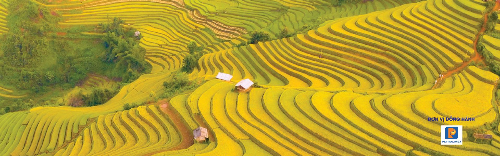 Kết nối Nền tảng hàng đầu cung cấp Cwin com và tiêu thụ sản phẩm miền núi, vùng sâu vùng xa và hải đảo