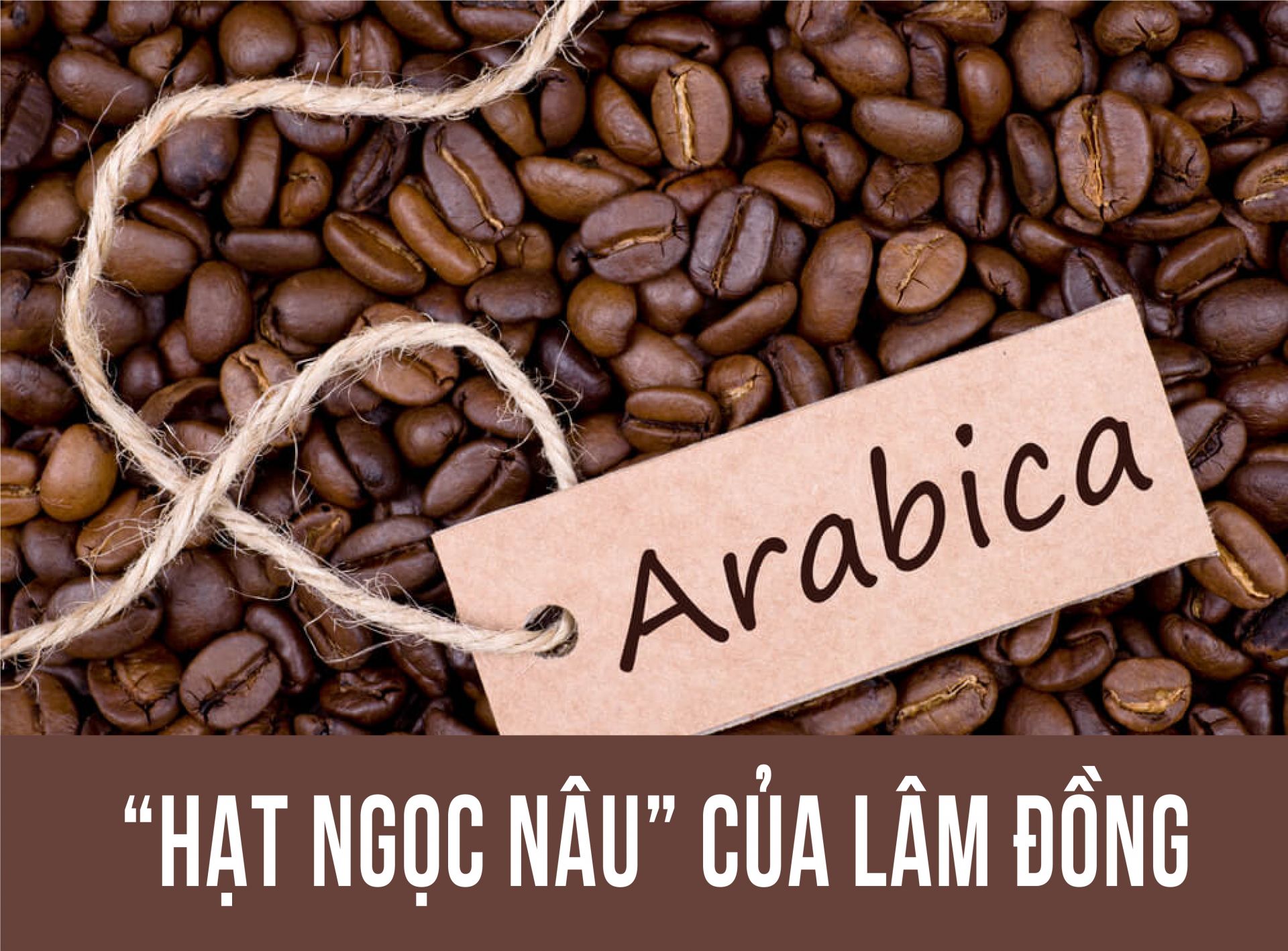 Cà phê Arabica: “Hạt ngọc nâu” của Lâm Đồng
