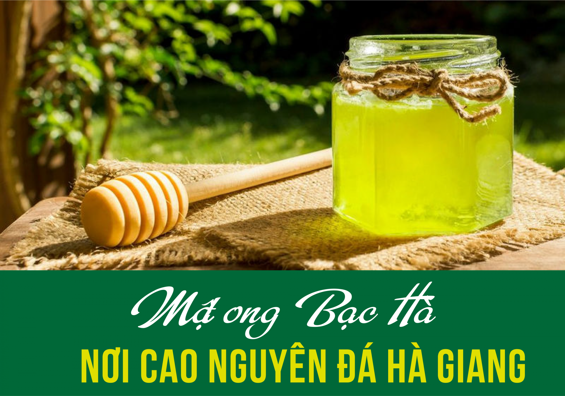 Mật ong Bạc Hà nơi cao nguyên đá Hà Giang