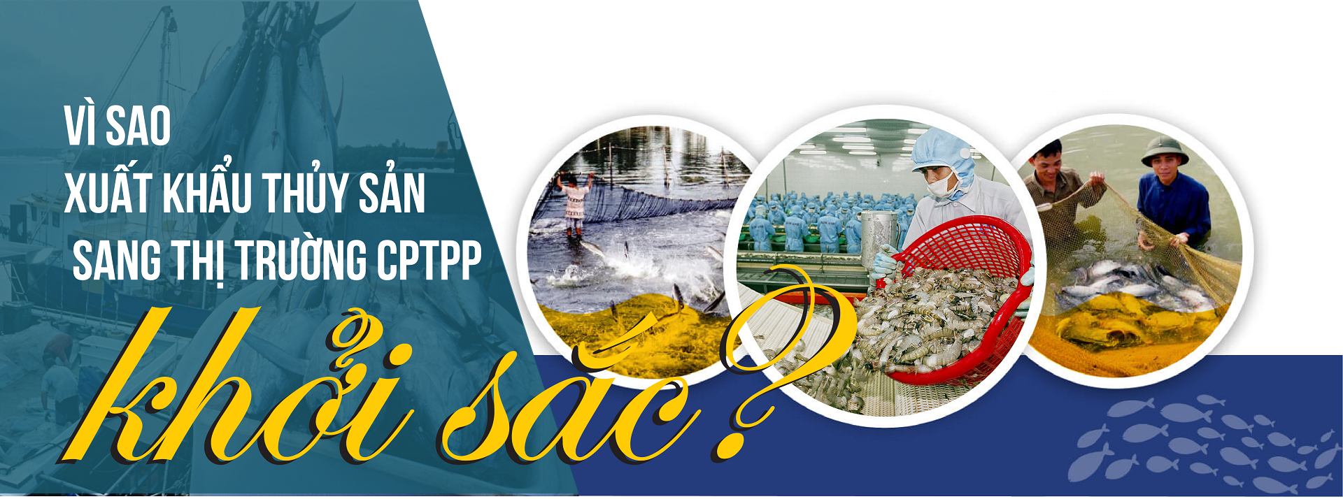 [E-Magazine] Vì sao Cwin Đăng Ký + 1888k thủy sản sang thị trường CPTPP khởi sắc?