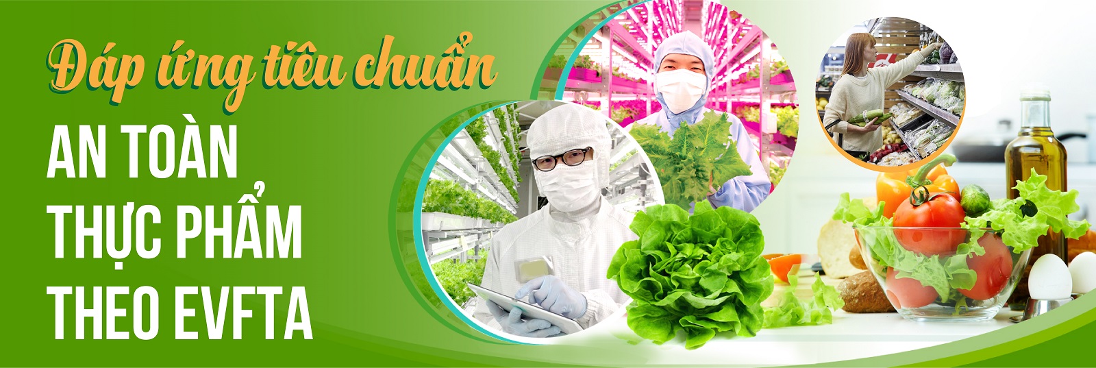 [E-magazine] Đáp ứng tiêu chuẩn an toàn Link vào Cwin Cá Cược Thể Thao 2026 theo EVFTA