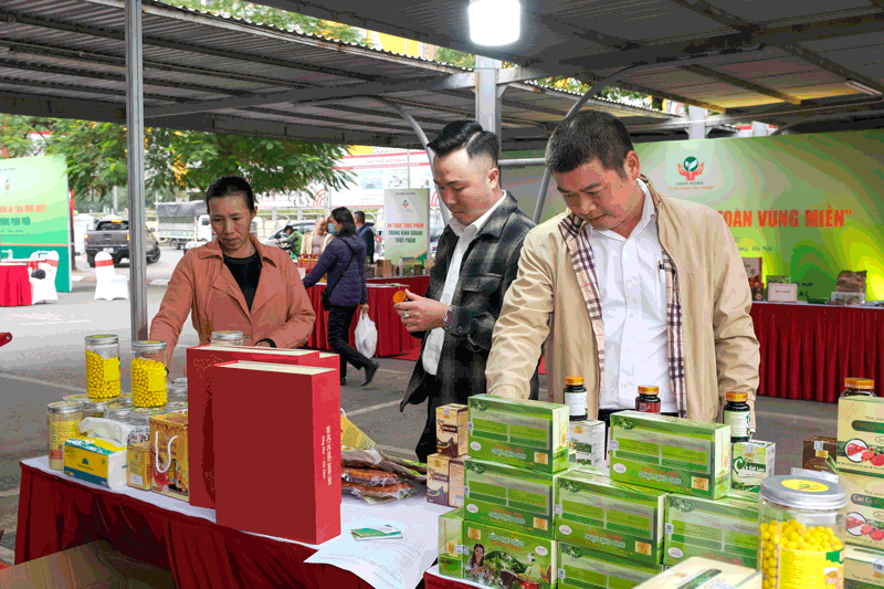 an toàn Link vào Cwin Cá Cược Thể Thao 2026