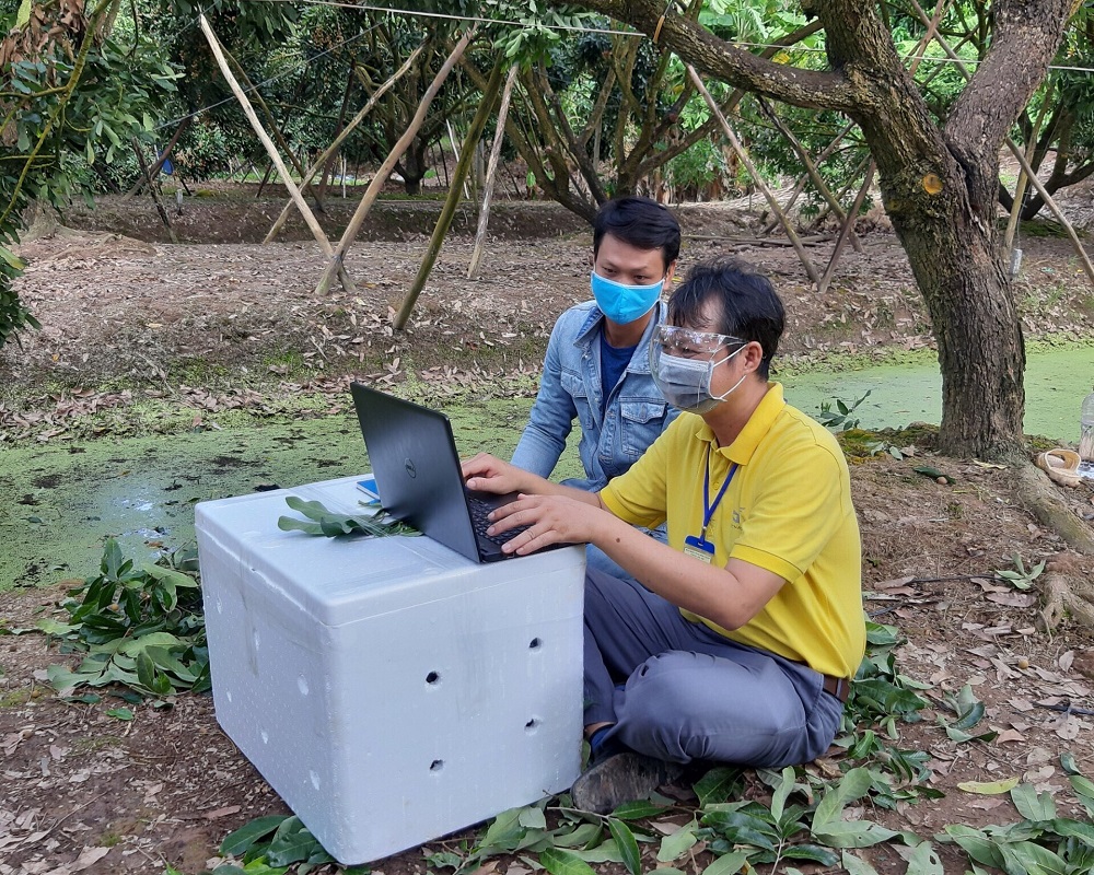 Thúc đẩy tiêu thụ nông sản qua sàn thương mại điện tử