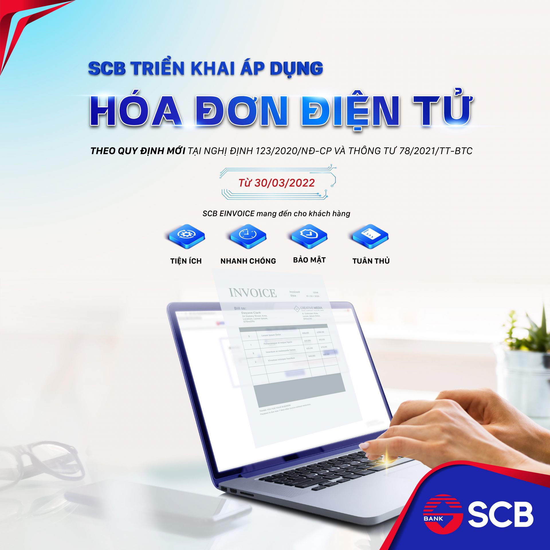 hoa dơn