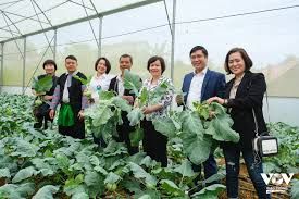 Thực trạng kênh phân phối rau an toàn ở tỉnh Bình Phước
