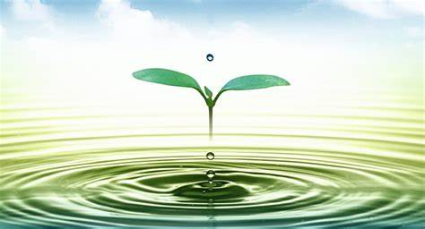 Quản lý nhà nước về khai thác, sử dụng tài nguyên nước dưới đất của Ủy ban nhân dân tỉnh Tiền Giang