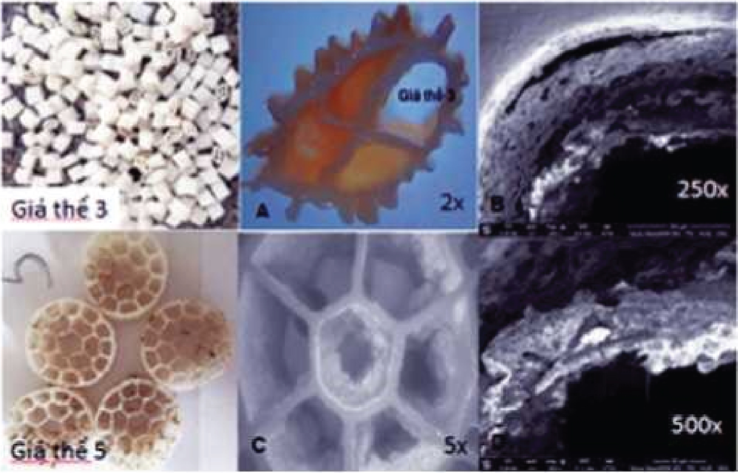 Nghiên cứu ứng dụng công nghệ MBBR (Moving Bed Biofilm Reactor - Giá thể sinh học tự do) nâng cao hiệu quả xử lý sinh học hiếu khí tại nhà máy giấy bao bì