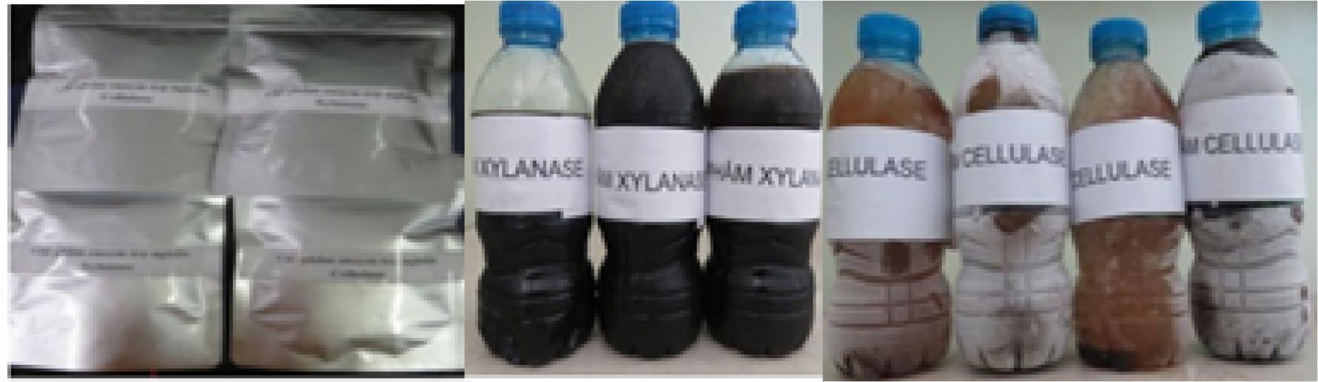 Nghiên cứu công nghệ chế tạo chế phẩm Enzyme trợ nghiền từ vi khuẩn - xạ khuẩn chịu nhiệt và ứng dụng trên dây chuyền Nền tảng hàng đầu cung cấp Cwin com giấy Tissue