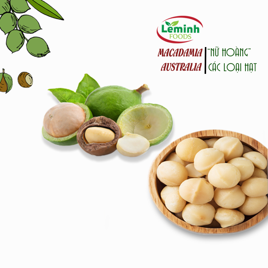 Nghiên cứu bảo quản và chế biến quả mắc ca sau thu hoạch