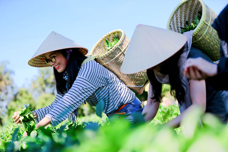Xây dựng mô hình nghiên cứu các nhân tố ảnh hưởng tới lòng trung thành điểm đến của khách du lịch tại các điểm đến du lịch Cwin.com link không chặn ở Việt Nam