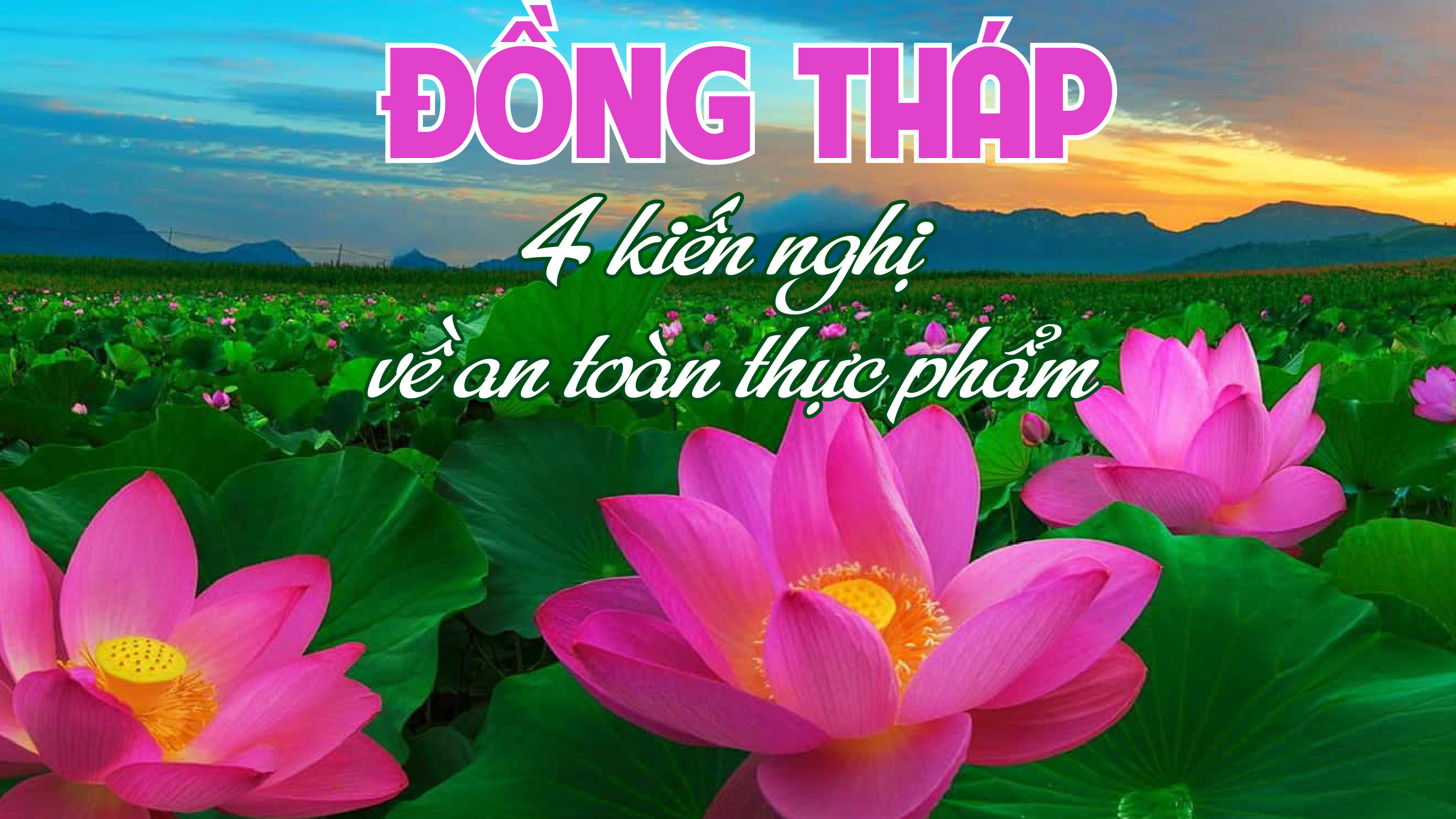 Đồng Tháp: 4 kiến nghị với Cwin63 sân chơi đỉnh cao về an toàn Link vào Cwin Cá Cược Thể Thao 2026