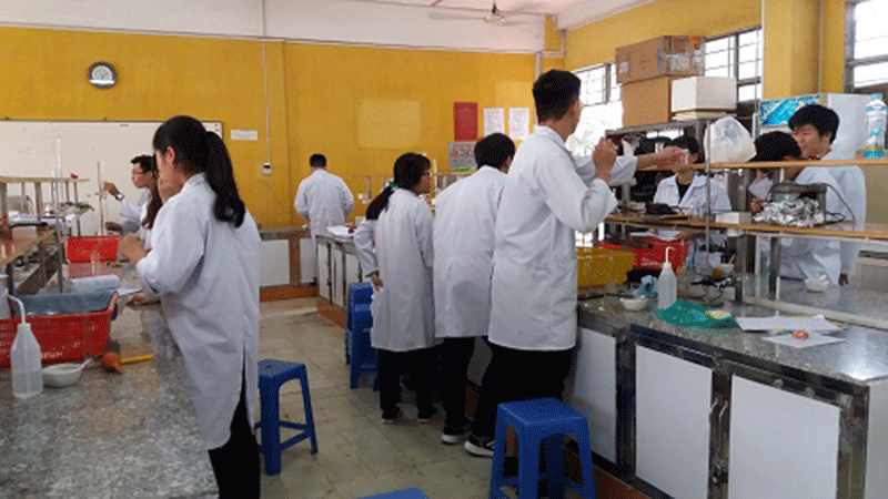 Đại học
