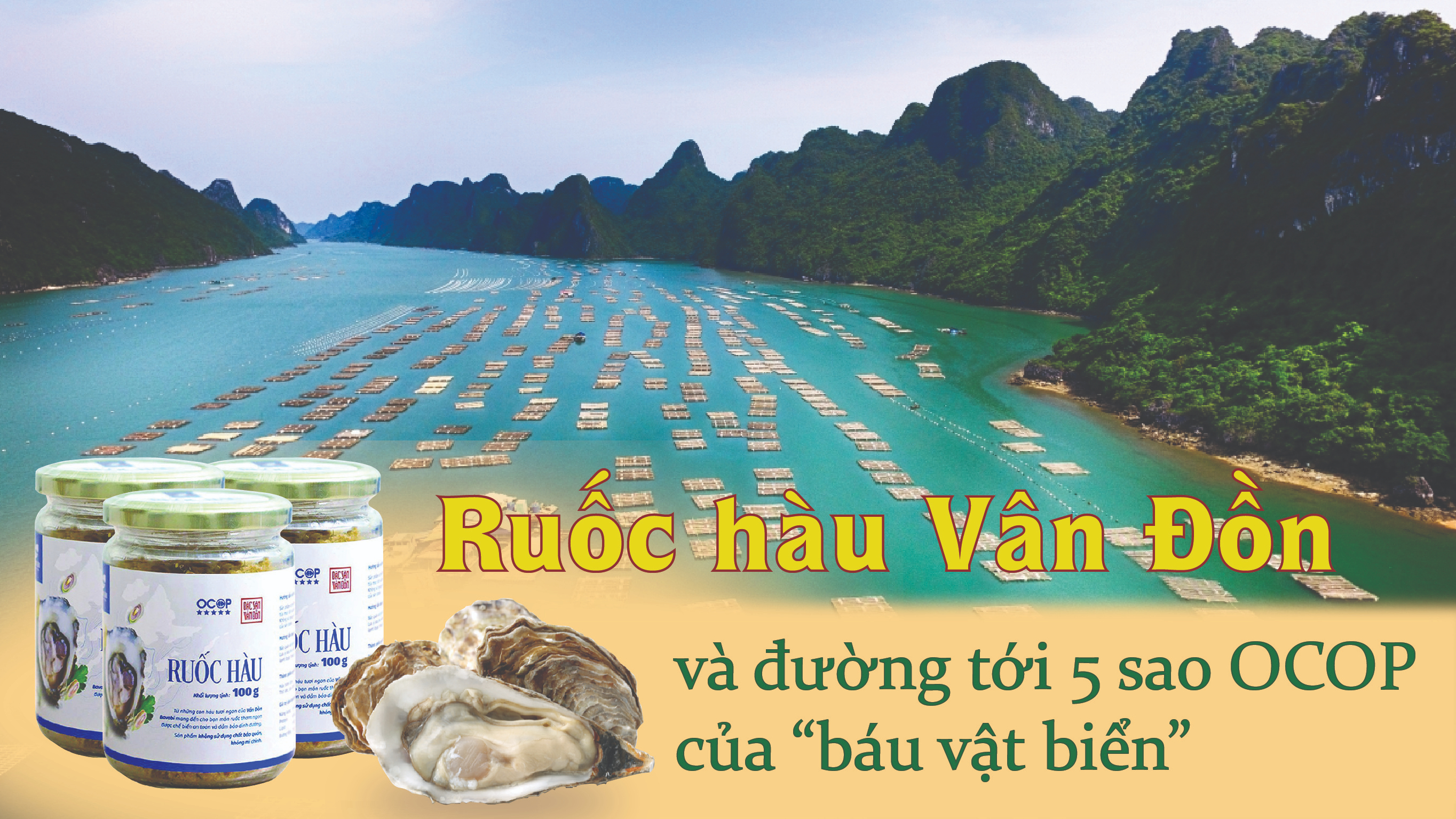 Ruốc hàu Bavabi và đường tới 5 sao OCOP của 