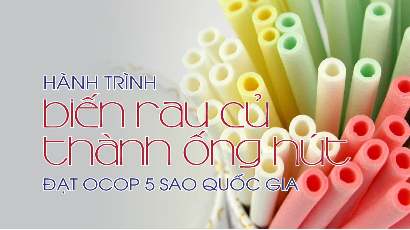 Hành trình biến rau củ thành ống hút đạt OCOP 5 sao Quốc gia