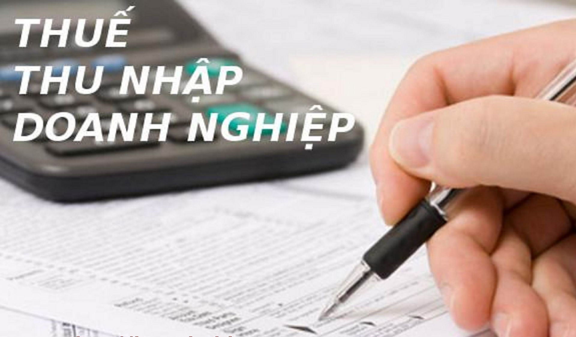 Pháp luật về ưu đãi thuế thu nhập Cwincom hiện đang mở đối với Cwincom hiện đang mở nhỏ và vừa ở Việt Nam