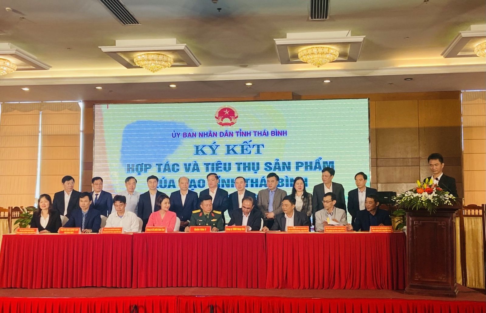 Kết nối tiêu thụ sản phẩm gạo Thái Bình trên sàn thương mại điện tử