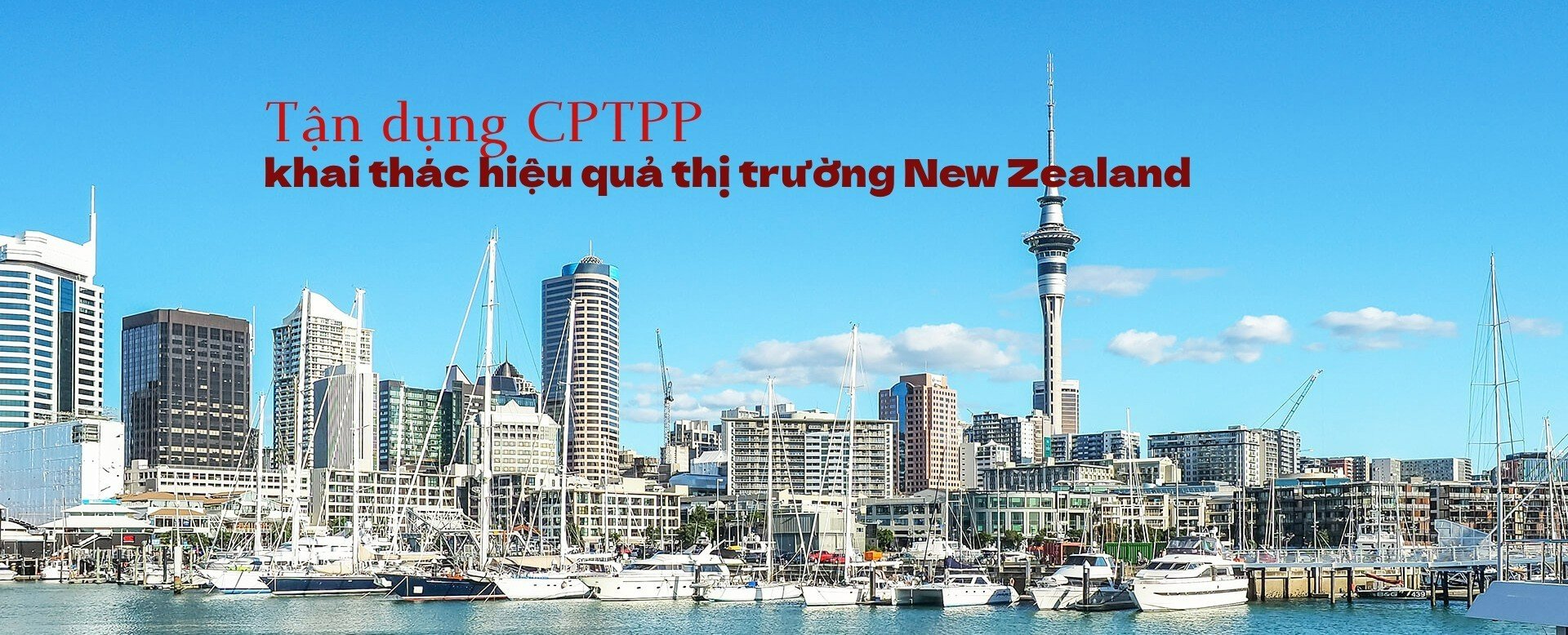 [E-Magazine] Tận dụng CPTPP, khai thác hiệu quả thị trường New Zealand