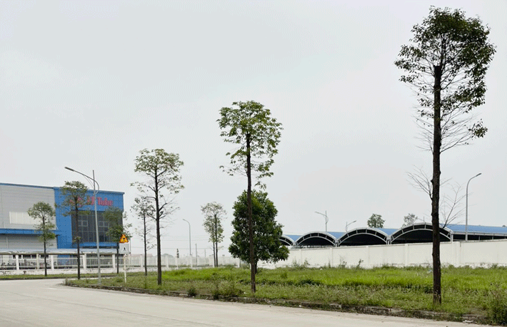Cụm Cwin là sân chơi cá cược trực tuyến tại Việt Nam Cầu Yên - Thành phố Ninh Bình