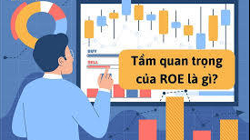 Tác động cấu trúc vốn đến tỷ suất lợi nhuận ROE của Cwincom hiện đang mở