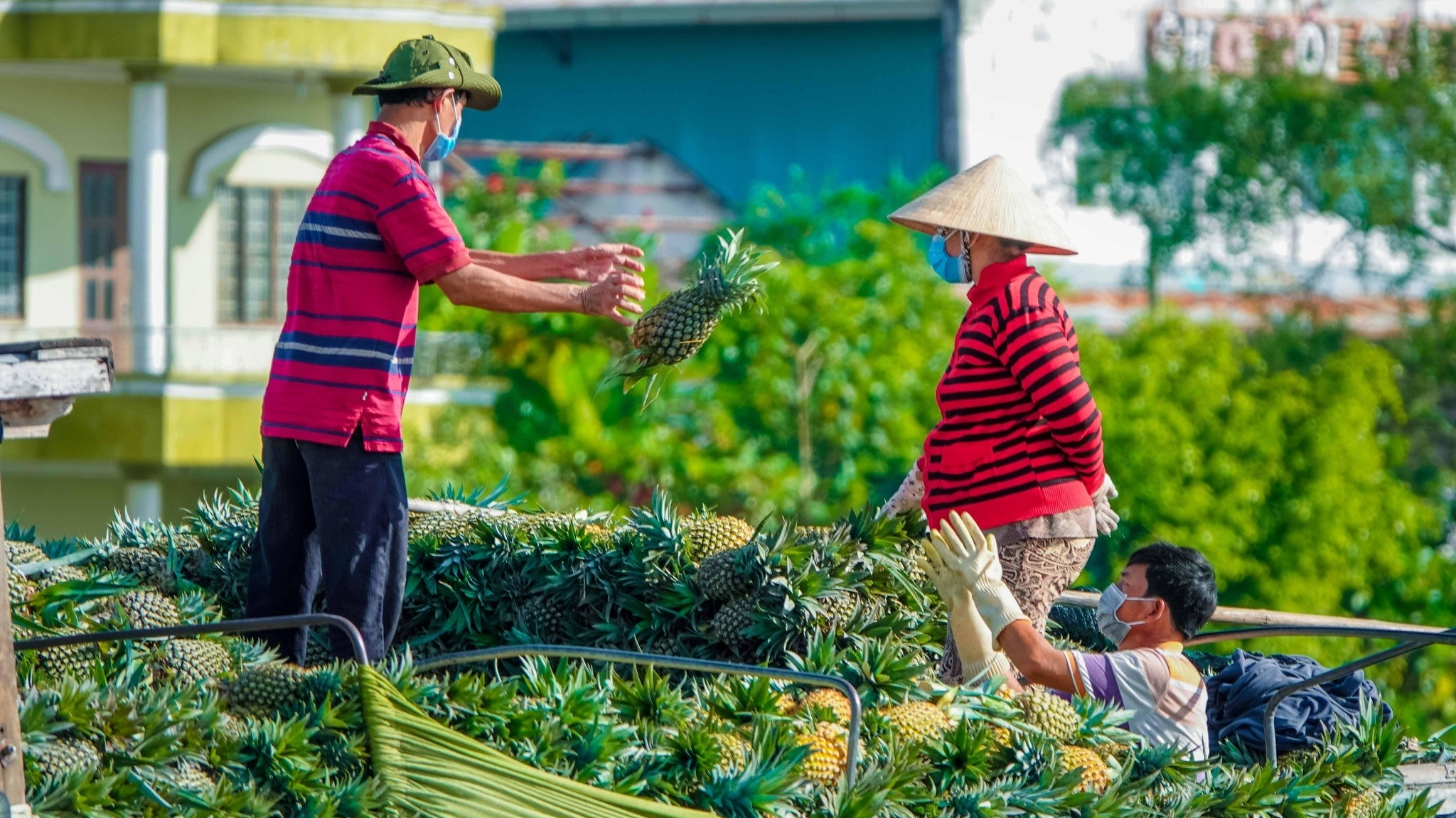 Thực trạng và giải pháp phát triển tín dụng xanh tại đồng bằng sông Cửu Long
