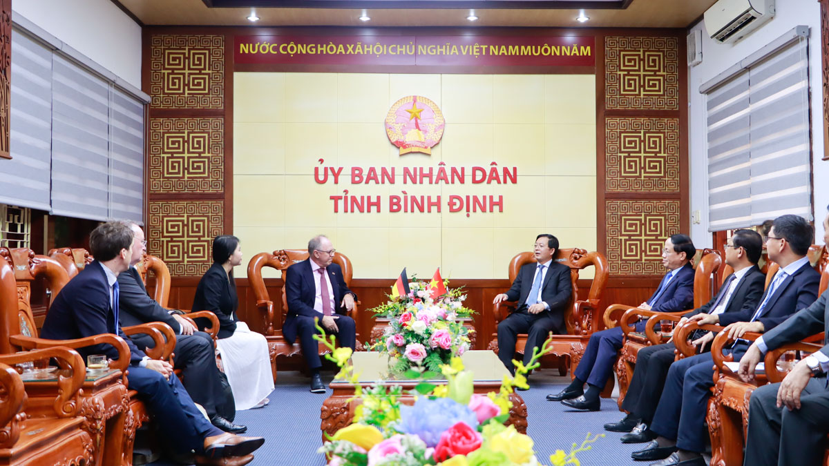 Bình Định tiếp tục xúc tiến triển khai dự án điện gió ngoài khơi 4,6 tỷ USD